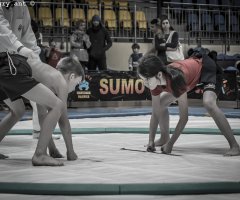 wom-w-sumo-2016-75