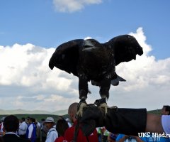mistrzostwa-swiata-w-sumo-mongolia-2016-27