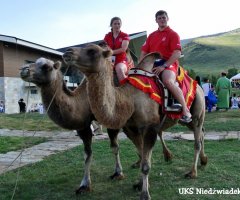 mistrzostwa-swiata-w-sumo-mongolia-2016-47