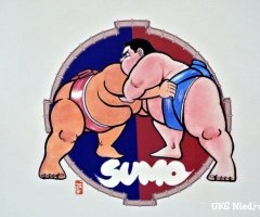 mistrzostwa-swiata-w-sumo-mongolia-2016-68